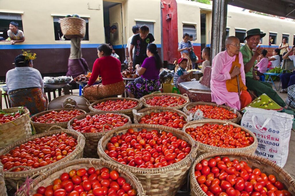 TOMATOES are transported by train on the route from Pyin U Lwin to Hsipaw - MYANMAR