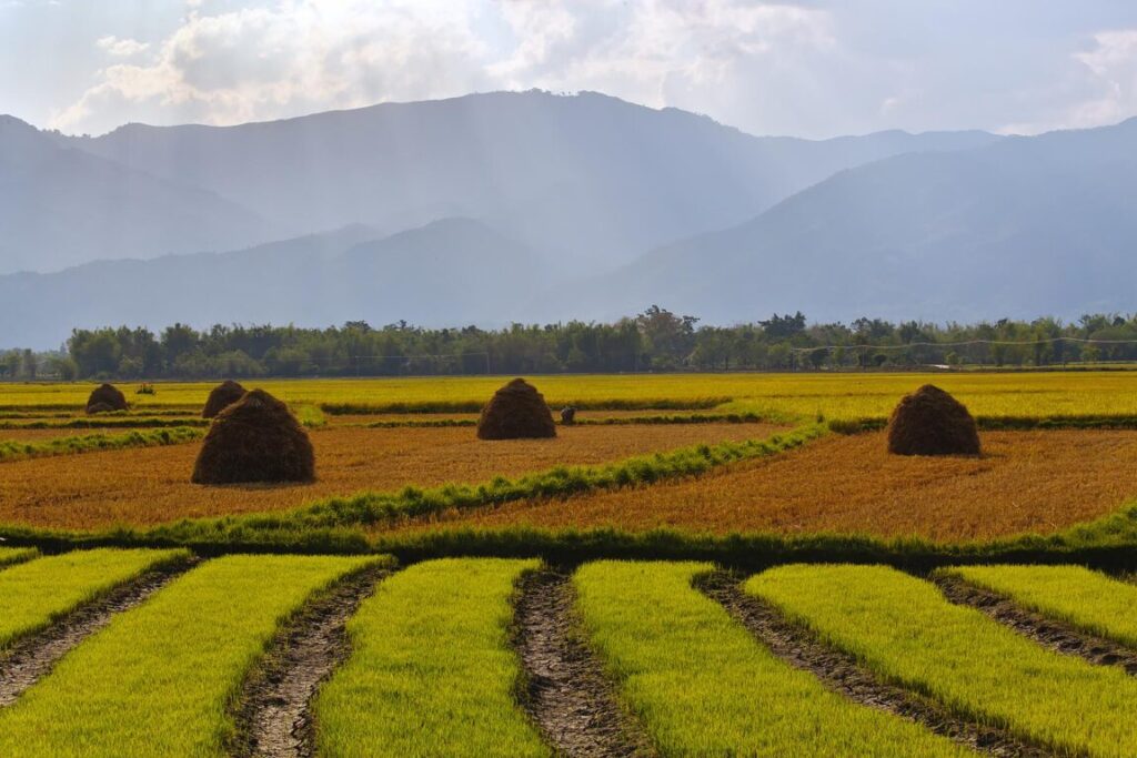 The fertile valley surrounding KENGTUNG or KYAINGTONG is used to grow RICE - MYANMAR
