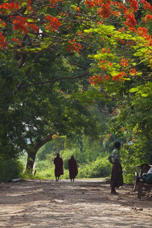MONKS on the road in historic INWA which served as the Burmese Kingdoms capitol for 400 years - MYANMAR