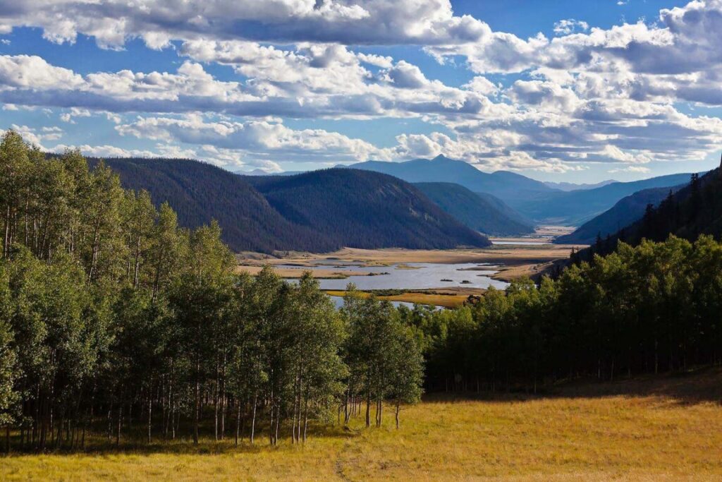 Aspen trees and the RIO GRANDE RIVER runs through the RIO GRANDE VALLEY - SOUTHERN COLORADO