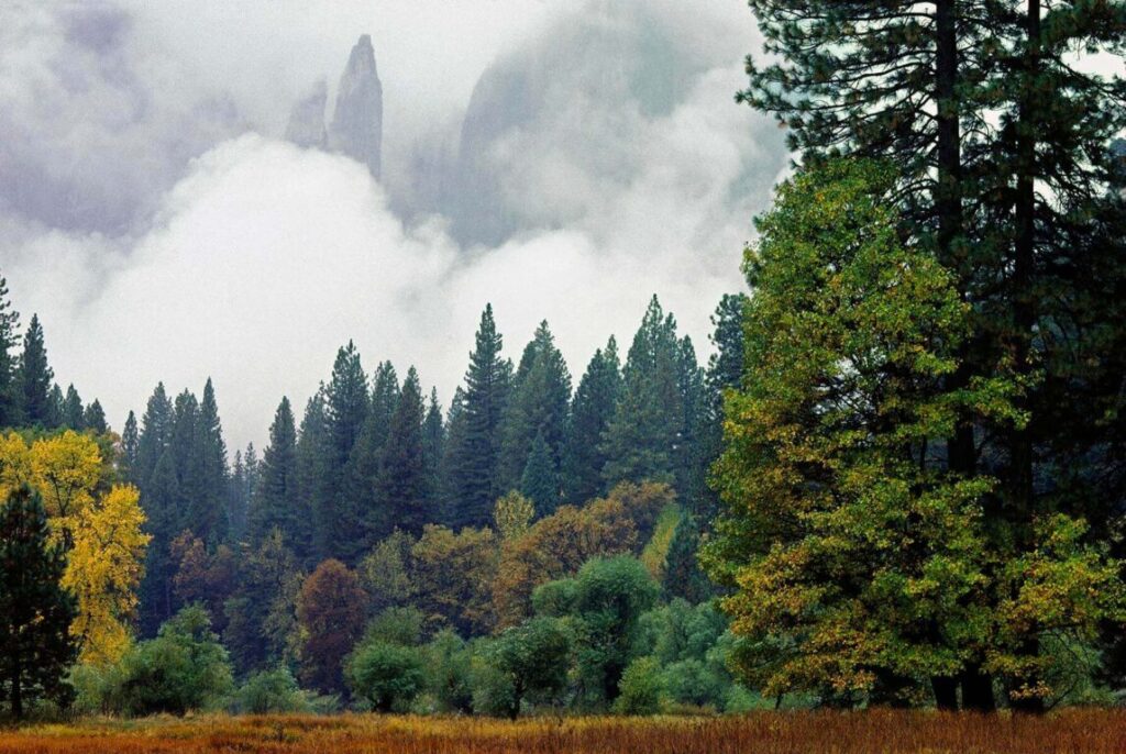 Low hanging cloud enshrouds YOSEMITE VALLEY in autumn mist - YOSEMITE NATIONAL PARK, CALIFORNIA