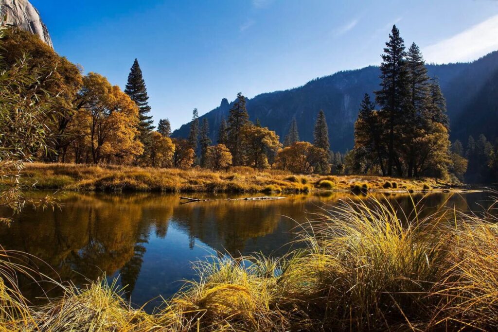 The MERCED RIVER and the YOSEMITE VALLEY during autumn - YOSEMITE NATIONAL PARK, CALIFORNIA