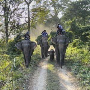 NEPAL_CHITWAN_D312